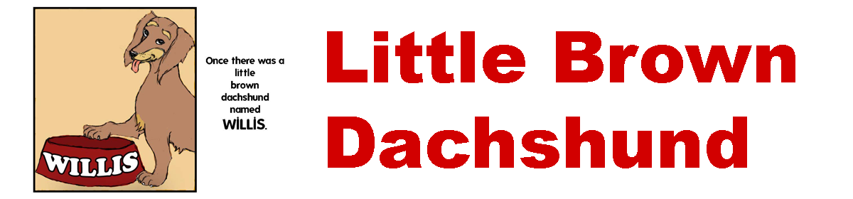 Little Brown Dachshund
